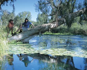 Millstream Chichester National Park - New Castle Holiday 1