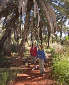 Millstream Chichester National Park - New Castle Holiday 2