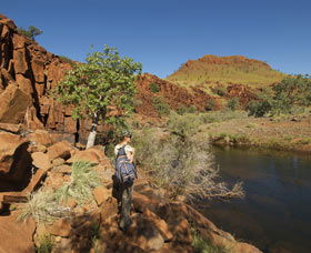 Millstream Chichester National Park - New Castle Holiday 3