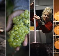 Ross Hill Wines - New Castle Holiday