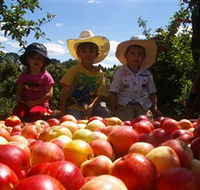 Bonny Glen Fruits - New Castle Holiday