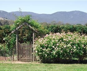 Samaria Farm - New Castle Holiday 2