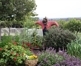 Samaria Farm - New Castle Holiday 4