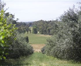 Samaria Farm - New Castle Holiday 7