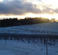 Charles Sturt University Winery - New Castle Holiday