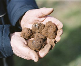 A Slice Of Orange - New Castle Holiday 0