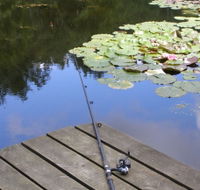 Ophir Reserve - New Castle Holiday
