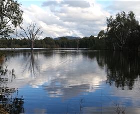 Wonga Wetlands - New Castle Holiday 1