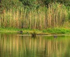 Wonga Wetlands - New Castle Holiday 2