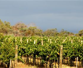 Amulet Vineyard And Beechworth Cider - New Castle Holiday 7