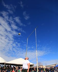 Amulet Vineyard And Beechworth Cider - New Castle Holiday 6