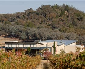 Amulet Vineyard And Beechworth Cider - New Castle Holiday 8