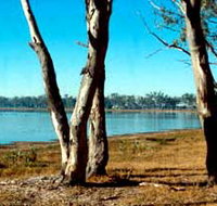 Lake Broadwater Conservation Park - New Castle Holiday