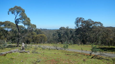 Bald Hill Lookout - New Castle Holiday 0