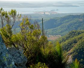Mount Larcom Climb - New Castle Holiday 1