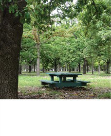 Lindsay Pryor National Arboretum - New Castle Holiday 1