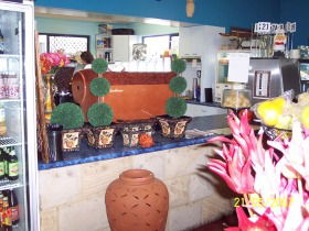 Warwicks Gardens Galore - New Castle Holiday 2