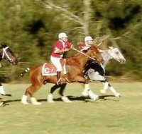 Morgan Park Warwick - New Castle Holiday