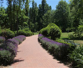 Glebe Park - New Castle Holiday 1