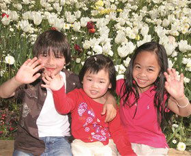 Commonwealth Park - New Castle Holiday 0