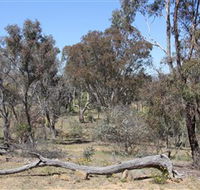 Remembrance Nature Park - New Castle Holiday