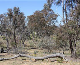 Remembrance Nature Park - New Castle Holiday 0