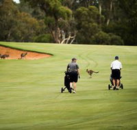 Federal Golf Club - New Castle Holiday