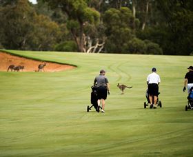 Federal Golf Club - New Castle Holiday 0