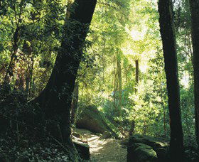 Blue Mountains National Park - New Castle Holiday 5