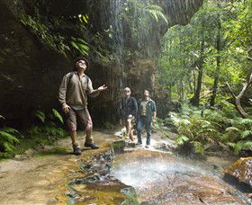 Blue Mountains National Park - New Castle Holiday 3