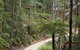 Blue Mountains National Park - thumb 8