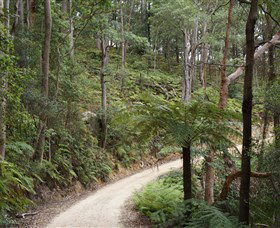 Blue Mountains National Park - New Castle Holiday 8