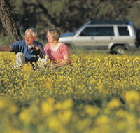 Coalseam Conservation Park - New Castle Holiday