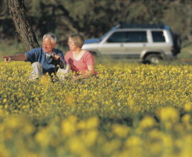 Coalseam Conservation Park - New Castle Holiday 0