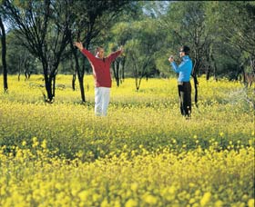 Coalseam Conservation Park - New Castle Holiday 2