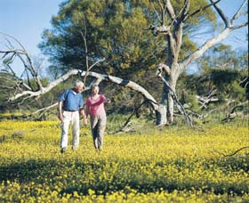 Coalseam Conservation Park - New Castle Holiday 3
