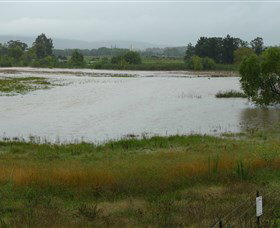 Jerrabomberra Wetlands - New Castle Holiday 1