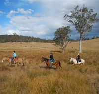 Chapman Valley Horse Riding - New Castle Holiday