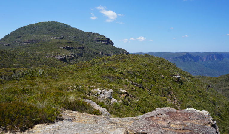 Bell NSW New Castle Holiday