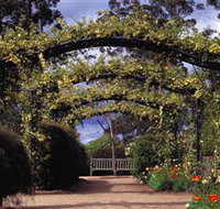 Blue Mountains Botanic Garden - New Castle Holiday