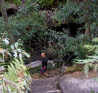 Leura Cascades Fern Bower - New Castle Holiday