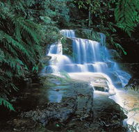 Leura Cascades - New Castle Holiday