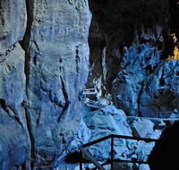 Wombeyan Karst Conservation Reserve - New Castle Holiday