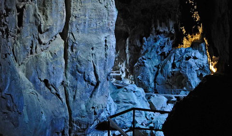 Wombeyan Karst Conservation Reserve - New Castle Holiday 0