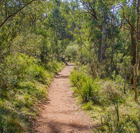 Mares Forest Creek walking track - New Castle Holiday