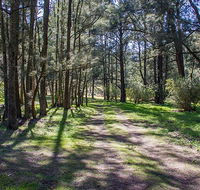Wombeyan Waterfall walking track - New Castle Holiday
