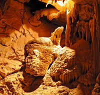 Fig Tree Cave - New Castle Holiday