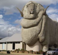 Big Merino - New Castle Holiday