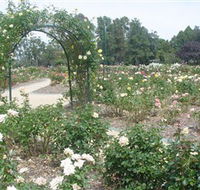 Victoria Park Rose Garden - New Castle Holiday