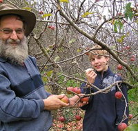 Pine Crest Orchard - New Castle Holiday